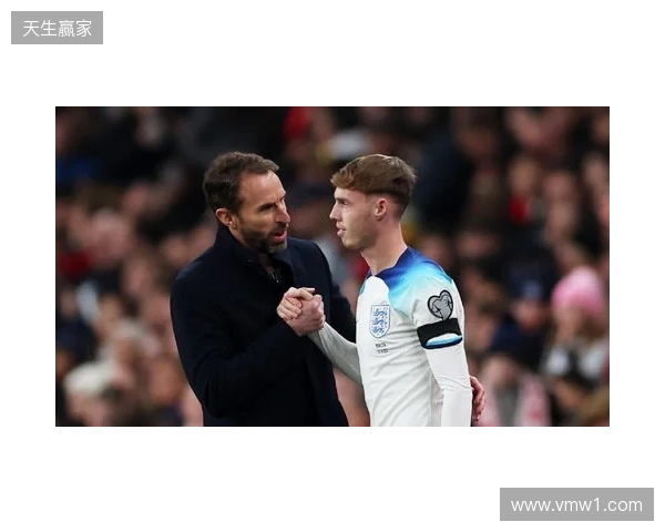 图赫尔谈10号位：一阶段考察帕尔默&福登；二阶段贝林&罗杰斯